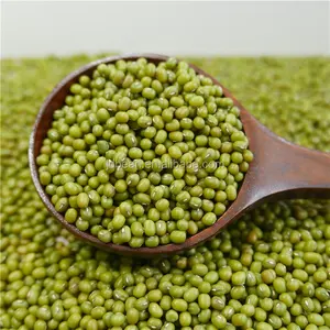 新しい作物を発芽タイプ緑豆を最高品質で低価格