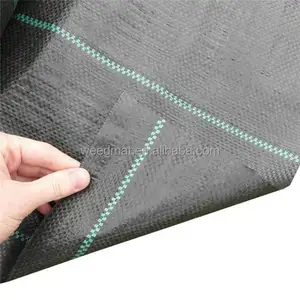 agriculture black polypropylene sheet for ground cover