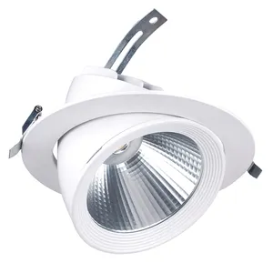 Thiết Kế Mới Có Thể Điều Chỉnh Dimmable COB <span class=keywords><strong>LED</strong></span> Trần Theo Dõi Ánh Sáng Tại Chỗ Nhà Cung Cấp - Product Image 1