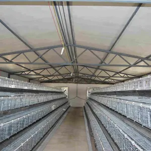 Widely Used Industrial Poultry Feed Machine Equipment Crates Chicken House Price