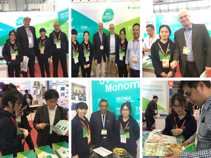 Crack Gomme Kit de Réparation De <span class=keywords><strong>Pare</strong></span>-<span class=keywords><strong>Brise</strong></span> Résine de Réparation de <span class=keywords><strong>Pare</strong></span>-<span class=keywords><strong>Brise</strong></span> - Product Image 5