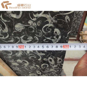 Phiến Đá Cẩm Thạch Vỏ Sò Đen Hóa Thạch Trung Quốc - Product Image 3