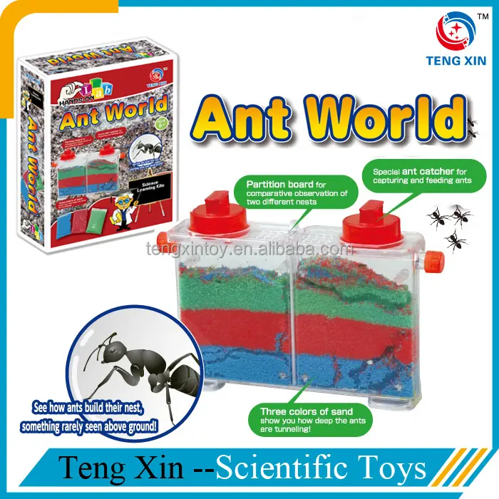 Mundo de la hormiga-inicio proyectos de ciencia