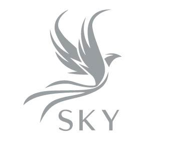 Shandong Sky Imp& Exp Co., Ltd. logo