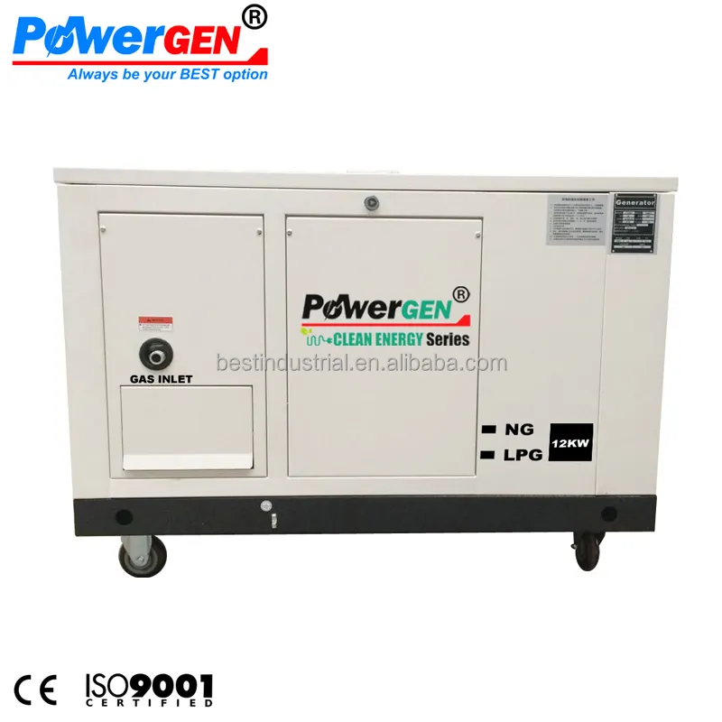 אנרגיה נקייה!!! POWERGEN מקורר מים שקט NG גז טבעי/גפ"מ הנוזלי פרופאן 12KW גנרטור 15KVA