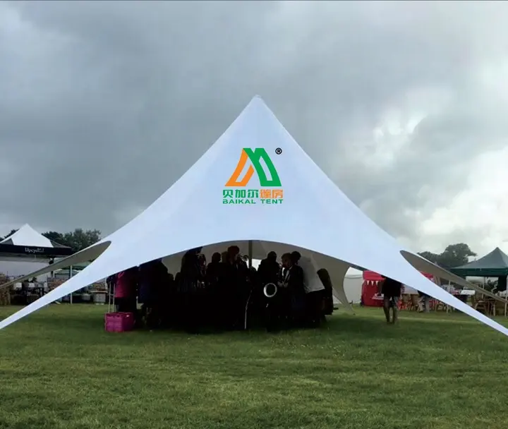 10m 12m 14m 16m promotion single pole beach shade star tent
