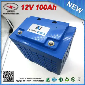 硬塑料外壳锂离子 LiFePO4 电池 12 V 100Ah 用于 EV HEV 汽车滑板车 UPS 路灯太阳能系统免费送货