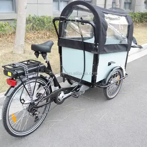 EU Trung Quốc Kho Kho Gia Đình Ba Bánh Xe Điện Cargo Bike Xe Đạp Điện Ba Bánh