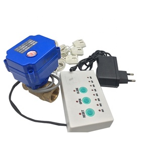 Rò rỉ nước van rò rỉ báo động với 1/2 ''3/4'' 1 ''Đồng cơ giới van nước rò rỉ Detector và van - Product Image 2