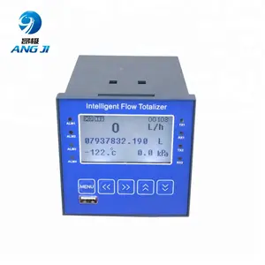 RS485 output displaying flow totalizer meter