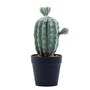 Personalizado artificial <span class=keywords><strong>cactus</strong></span> <span class=keywords><strong>saguaro</strong></span> artificial <span class=keywords><strong>cactus</strong></span> - Product Image 5