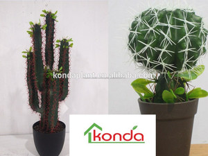 Decoración de interior Y Al Aire Libre <span class=keywords><strong>bonsai</strong></span> Plantas de Cactus Cactus Y Suculentas Cactus Plantas artificiales Al Por Mayor - Product Image 4
