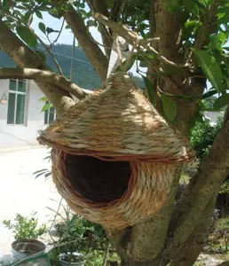 Thatched Roof Bird Roosting Pocket