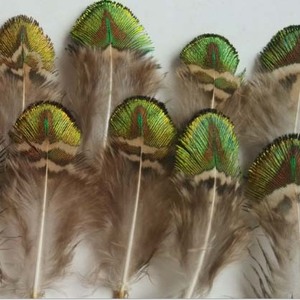 Lông Công Trang Trí Tóc Quyến Rũ - Product Image 6