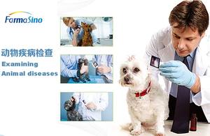 FarmaS ino medizinische Endoskop kamera tragbare digitale Otoskop kamera digitale Laryngoskop kamera - Product Image 6