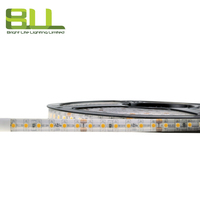 IP65 SMD3528 120LED 3000K blanc chaud couleur unique LED bande lumineuse pour chambre Smart led éclairage