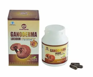 Amostra grátis 100% orgânico ganoderma lucidum/reishi mushroom/extrato lingzhi cápsulas de pó de esporos