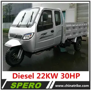 Driver Cabine Drie Wheeler 22KW Diesel Mini Truck