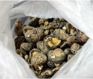 органических гладкой сушеных грибов шиитаке цены - Product Image 2