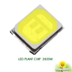 Chất Lượng Cao 3V 6V 9V 18V 0.1W 0.2W 0.5W 1W 2W 3W 130-150lm Datasheet White LED Single Color Chip SMD LED 2835