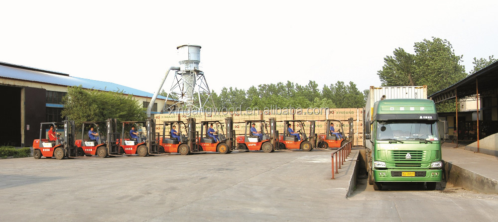 12mm 15mm 18mm 1220x2440mm White Two Sides Melamine Plywood for Furniture and Kitchen Cabinet