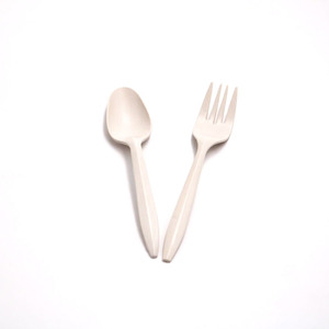disposable plastic spoon and fork