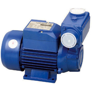 Bomba de Agua Autocebante Serie Eddy+TPS / Bomba Periférica de Circulación de 1hp para Jardín - Product Image 1