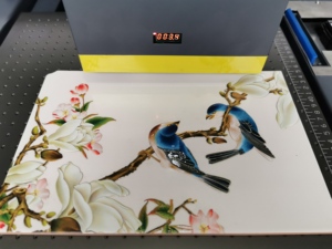 New Updated A2+ Alpha-Jet Led Flatbed Uv Printer with 3pc Dx10 Print Heads - Product Image 6