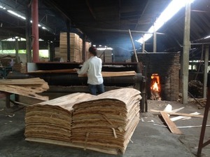 Chapa de goma y eucalipto, 1270x640x1.7mm, grado 80% A + 20% B - KEGO - Product Image 3