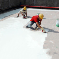 Revêtement imperméabilisant liquide en caoutchouc de silicone à pulvériser à prix avantageux pour toitures et murs