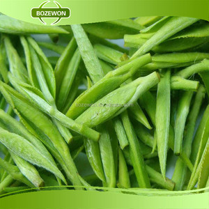 Giá tốt nhất chiết xuất trà xanh bột 25%-98% <span class=keywords><strong>polyphenol</strong></span> trống bao bì - Product Image 2