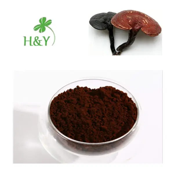 โรงงาน Reishi Mushroom Extract เห็ดหลินจือสกัด