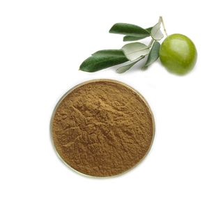 Suda çözünür zeytin ekstresi <span class=keywords><strong>oleuropein</strong></span> 98% zeytin yaprağı özü - Product Image 2