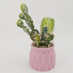 De alta calidad de tamaño de cerámica vidriada <span class=keywords><strong>cactus</strong></span> suculentas maceta de flores para decoración de escritorio - Product Image 6