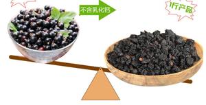 فاكهة عالية الجودة خام 100% خام مجففة من الشمش الأسود للطعام - Product Image 5