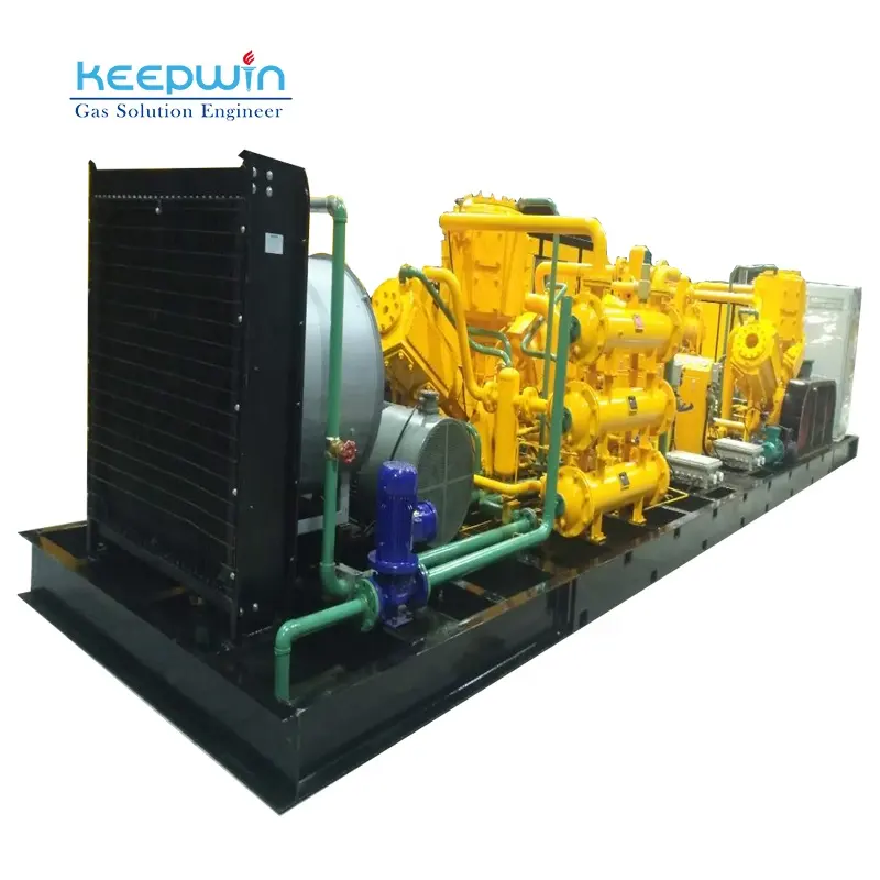 D type 90 KW lucht gas booster Compresor de Gas Natuurlijke Compressor made in China Industriële CNG Compressor