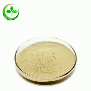 100% Natural Bulk Psyllium Husk, Psyllium Husk Extract Powder