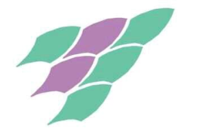 Tangshan Xinghe Trade Co., Ltd.