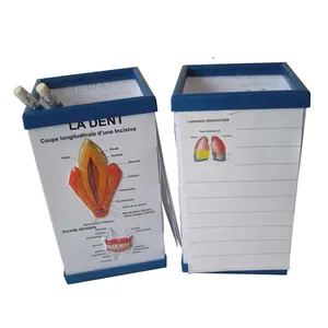 PVC Body Chart Embossed 3D Medical Pen holder with memo pad