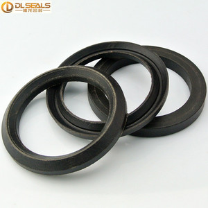Interpump Ws201 물개를 위한 직물 V 패킹 물개를 가진 무거운 예비 품목 Nbr Fkm - Product Image 4