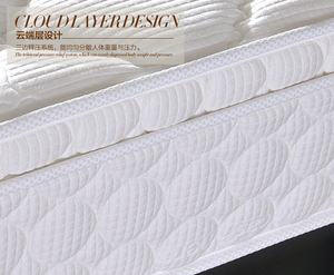 Giường Đôi Cỡ King Nệm Giá Rẻ Sợi Cọ Dừa Xơ Dừa Túi Mùa Xuân Nệm - Product Image 5