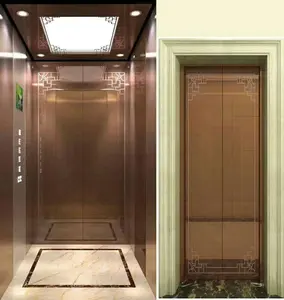 Kaliteli ev/Villa/ev asansör/asansör çin tedarikçisi