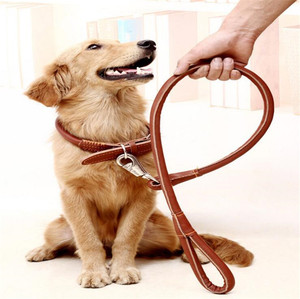 Correa de cuero PU para perro, suministros para mascotas, <span class=keywords><strong>Collar</strong></span> de correa - Product Image 5
