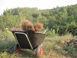 उद्यान परिवहन गाड़ी wheelbarrow भारी शुल्क बड़े प्लास्टिक wheelbarrow WB9600