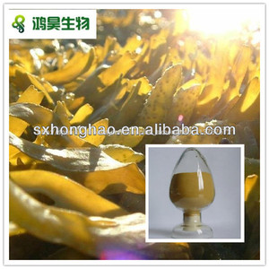 fucus vesiculosus extracto en polvo libre de la muestra - Product Image 1