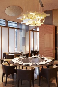 Modern Minimalist Restaurant Dining Chair Furniture Diana Small Armchair