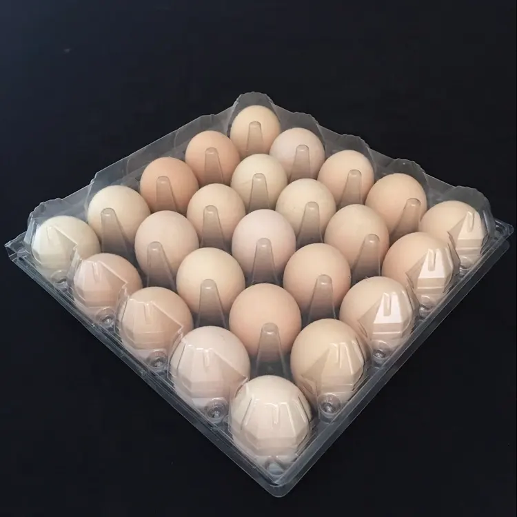 La migliore vendita biodegradabile usa e getta PET/PVC trasparente 25 fori di plastica pollo uovo di imballaggio/vassoio/scatola/contenitore