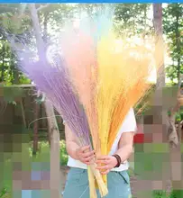 ブライダル素朴な秋の結婚式のための乾燥した本物の亜麻の果物と綿の保存された葉の花の花束 Buy ドライリアル亜麻フルーツクラフト 人工花と葉クラフト ドライ天然果実植物 Product On Alibaba Com