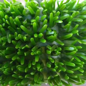 Machine à sable d'or de rivière, bac à or portable de petite taille, tapis de sluice pour la vente - Product Image 6