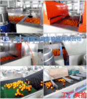 Fruit Sorteermachine/Elektrische Fruit Wassen Waxen En Sorteermachine